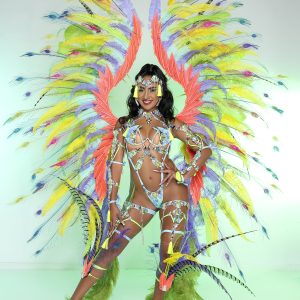 Limelights Section Leader